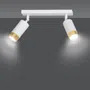 Lampa Sufitowa Hiro 2963/2 2Xgu10 biała/złota