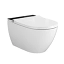 Washing toilets