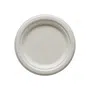 Komplet talerzy CANNE jednorazowych BIO 20 szt.
