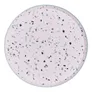 Zestaw TERRAZZO talerzy papierowych 8 szt. fi 25 cm