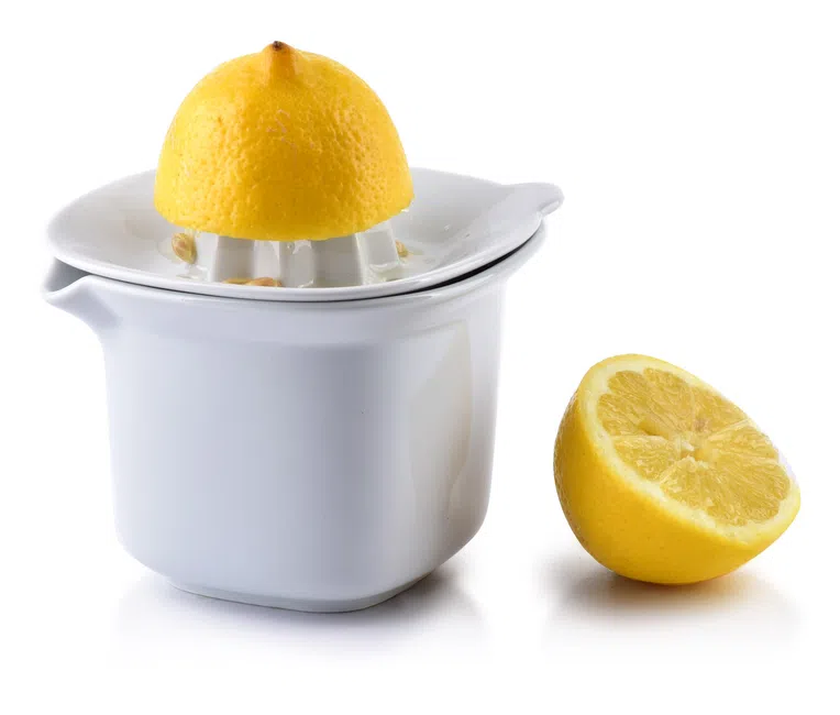 Wyciskacz MODERN LIFE szary 10x10xh11cm