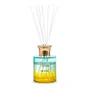Dyfuzor SKYGE Secret Garden 0,1 l