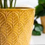 Osłonka na doniczkę SLANO ceramiczna musztardowa 13x13 cm
