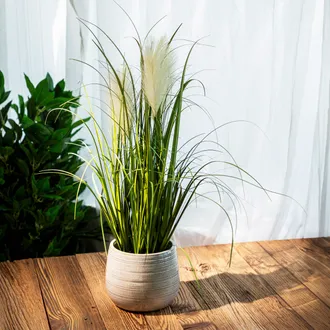 Trawa GRASS sztuczna ecru 57 cm