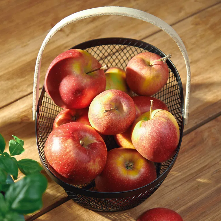 Koszyk FORRES czarny 23x21 cm