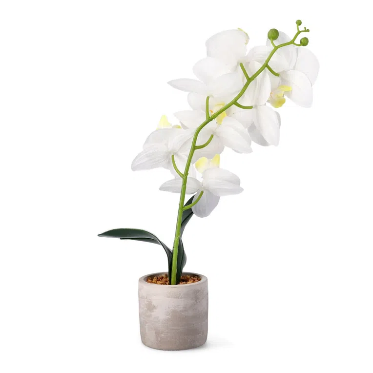 Orchidea ORCHID sztuczna biała 9x8x49 cm
