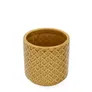 Osłonka RATTAN z motywem rattanu musztardowa 10,5x10,5 cm