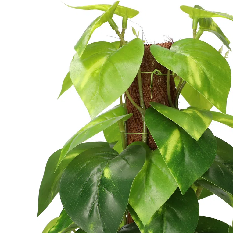 Roślina sztuczna TROPICAL ZONE Epipremnum z palikiem 38 cm