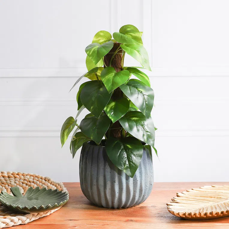 Roślina sztuczna TROPICAL ZONE Epipremnum z palikiem 38 cm