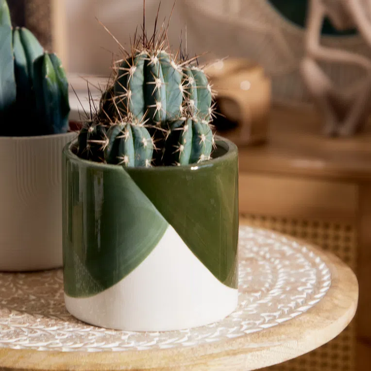 Osłonka na doniczkę LAZO ceramiczna zielona 13x14 cm