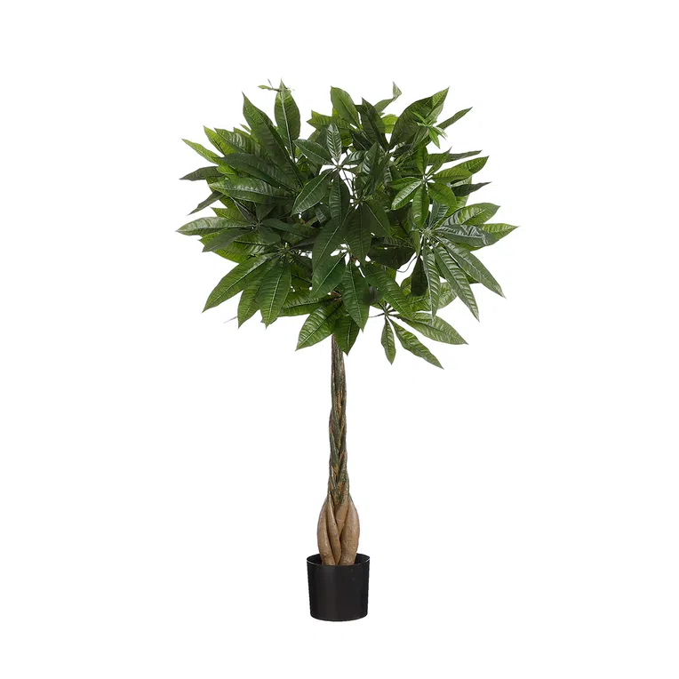 Roślina sztuczna BARO pachira 80 cm