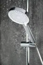 SŁUCH PRYSZ ALPINIA CHR 3-F NGA_05RS
