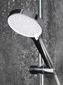 SŁUCH PRYSZ ALPINIA CHR 3-F NGA_05RS