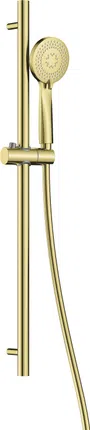 Zestaw prysznicowy przesuwny Deante Arnika złoto szczotkowane NQA_R51K