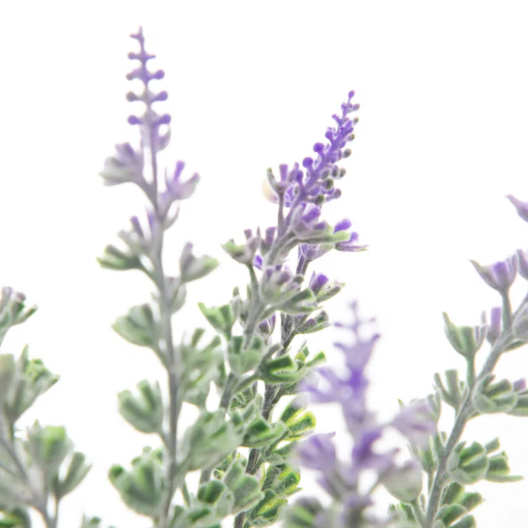 Roślina sztuczna LAVENDER lawenda w donicy 29 cm