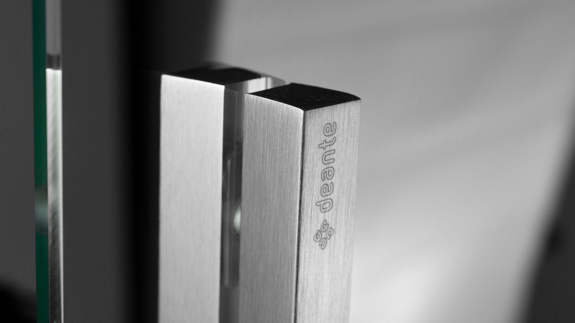 Kabina prysznicowa Walk-In Deante Prizma 100x195 przesuwna stal szczotkowana KTJ_F30R