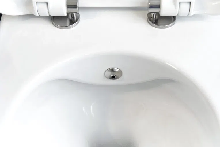 Miska WC z funkcją bidetu wisząca Deante Peonia bezkołnierzowa z deską wolnoopadającą duroplast CBP_6WPW