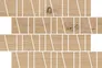 Mozaika Sandwood beige trapeze mat 20x29,9 Cersanit