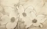Dekor Tuti beige inserto flower glossy 25x40 Cersanit