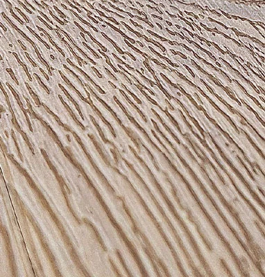 Głęboka struktura drewna